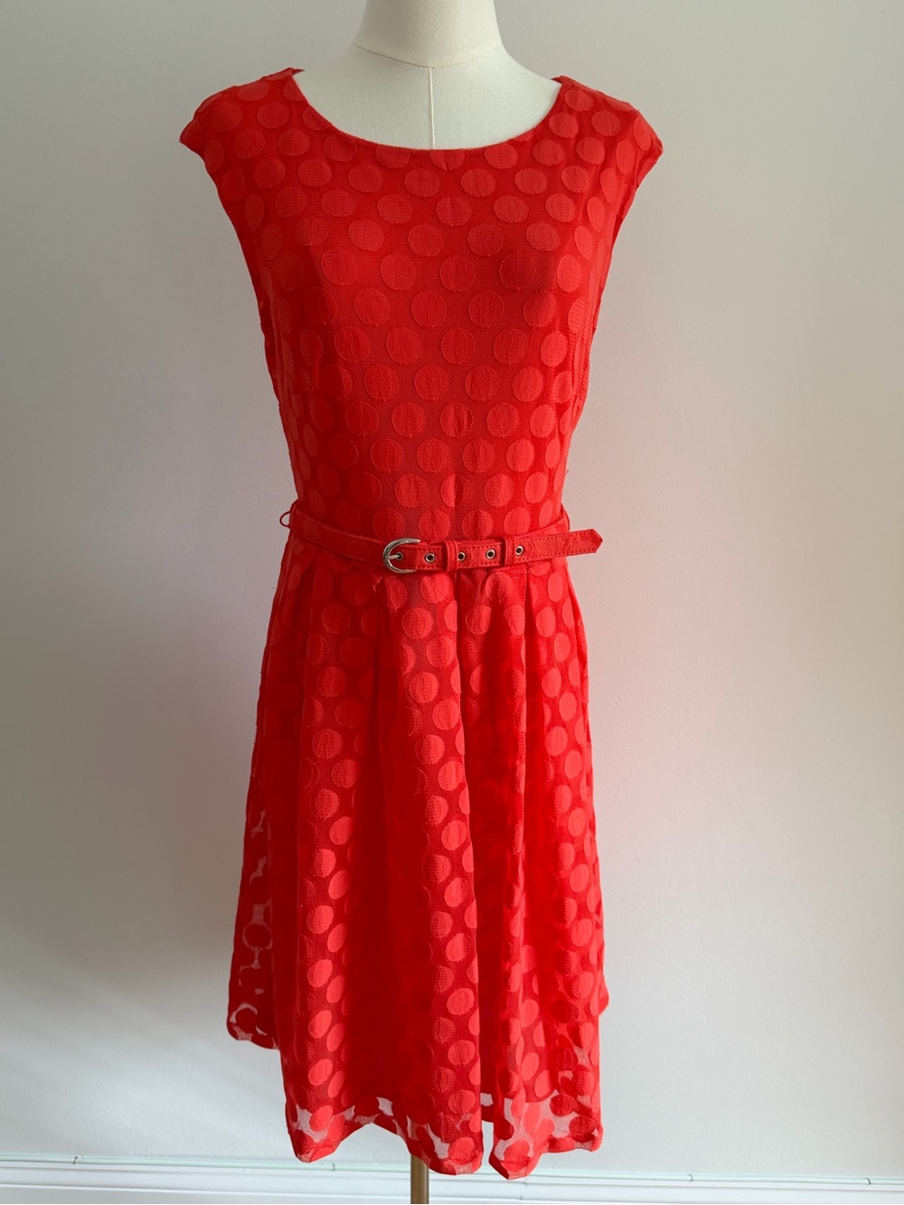 Alfani Orange Polka Dot Knee Length Dress with Belt